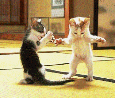 chat